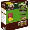 DCM Graszaad Riparo Plus (2,6 Kg) 1 DCM Graszaad Riparo Plus (2,6 Kg) -Buitentuin dcm graszaad riparo plus 1586240789 2 l