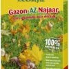 ECOstyle Gazon-AZ Najaar 2 Kg -Buitentuin ecostyle gazon az najaar 2 kg 1614086099 l