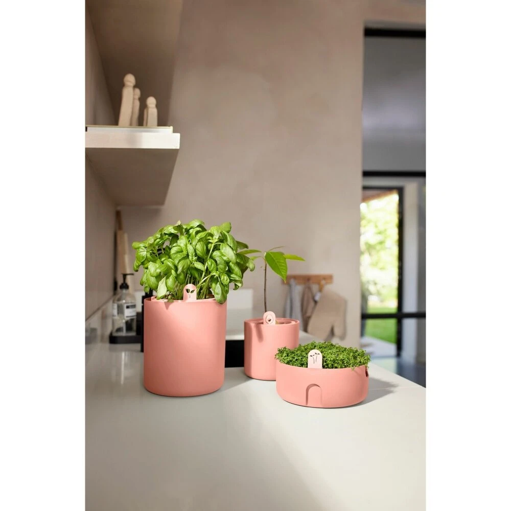 Elho Amazing Avocado Pot Bruin 10 Elho Amazing Avocado Pot Bruin - Afbeelding 8