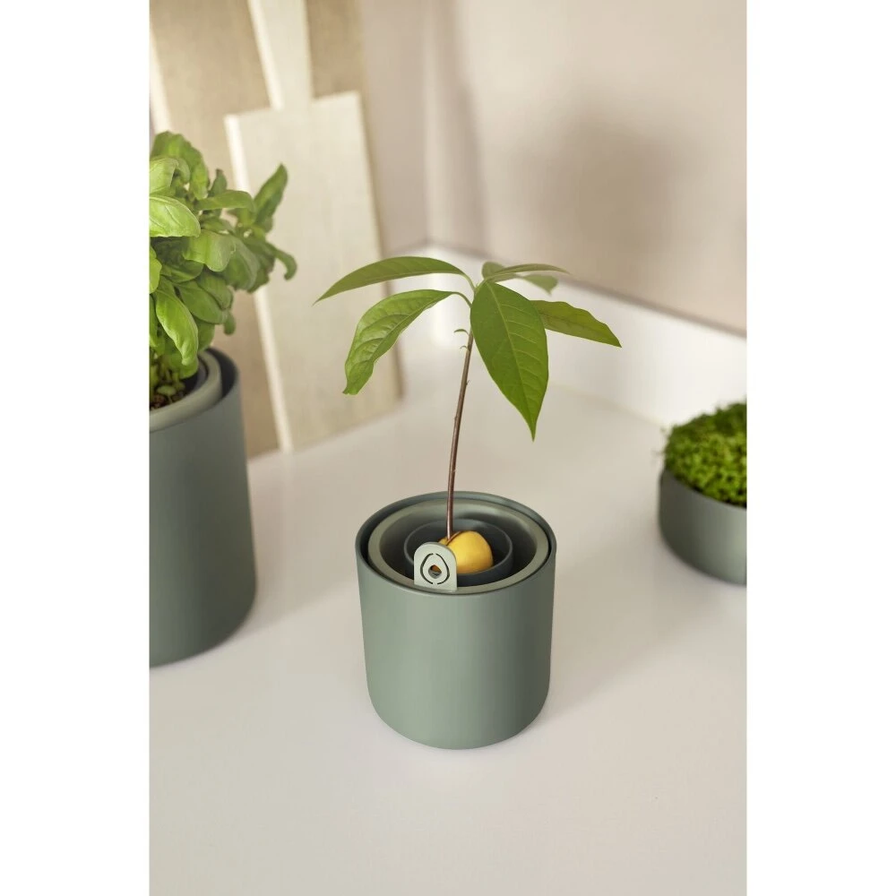 Elho Amazing Avocado Pot Groen 8 Elho Amazing Avocado Pot Groen - Afbeelding 6