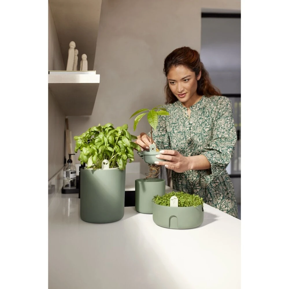 Elho Amazing Avocado Pot Groen 10 Elho Amazing Avocado Pot Groen - Afbeelding 8