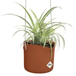 Elho B.for Swing 18 Cm Bruin -Buitentuin elho b for swing 18 cm bruin 1000x1000 64aebb4d46d37 l