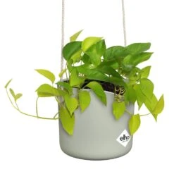 Elho B.for Swing 18 Cm Groen -Buitentuin elho b for swing 18 cm groen 1000x1000 64aebb4901d20 l
