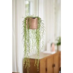 Elho B.for Swing 18 Cm Roze -Buitentuin elho b for swing 18 cm roze 1000x1000 64aebb450b440 l