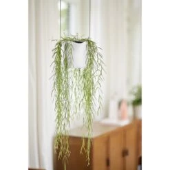 Elho B.for Swing 18 Cm Wit 17 Elho B.for Swing 18 Cm Wit -Buitentuin elho b for swing 18 cm wit 1000x1000 64aebb40d9064 l