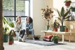 Elho Bloempot B.for Soft Rond 25cm Groen -Buitentuin elho bloempot b for soft rond 25cm groen 800x533 620e3ddf1d74c l