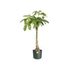 Elho Bloempot B.for Soft Rond 25cm Groen -Buitentuin elho bloempot b for soft rond 25cm groen 800x800 620e3ddedf641 l