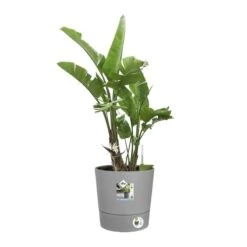 Elho Bloempot Greensense Aqua Care Rond 35cm Grijs 10 Elho Bloempot Greensense Aqua Care Rond 35cm Grijs -Buitentuin elho bloempot greensense aqua care rond 35cm grijs 800x800 620e3d90357e0 l