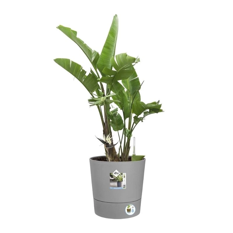Elho Bloempot Greensense Aqua Care Rond 35cm Grijs 4 Elho Bloempot Greensense Aqua Care Rond 35cm Grijs - Afbeelding 2