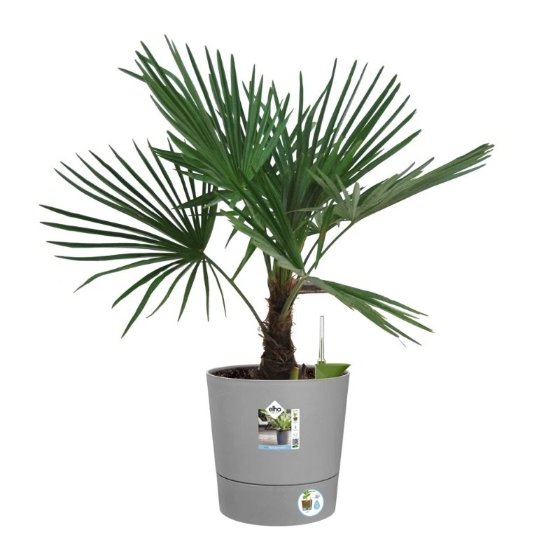 Elho Bloempot Greensense Aqua Care Rond 35cm Grijs 5 Elho Bloempot Greensense Aqua Care Rond 35cm Grijs - Afbeelding 3