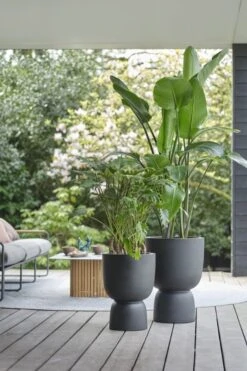 Elho Bloempot Pure Coupe 35cm Zwart -Buitentuin elho bloempot pure coupe 35cm zwart 533x800 620e3cf7d18bd l