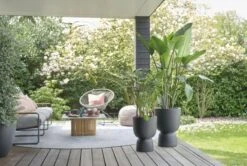 Elho Bloempot Pure Coupe 35cm Zwart -Buitentuin elho bloempot pure coupe 35cm zwart 800x537 620e3cf78f67c l