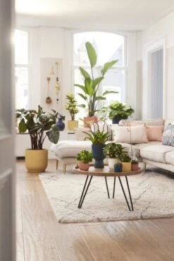 Elho Bloempot Vibes Fold Rond 30cm Blauw -Buitentuin elho bloempot vibes fold rond 30cm blauw 534x800 620e3ce3a4b8f l