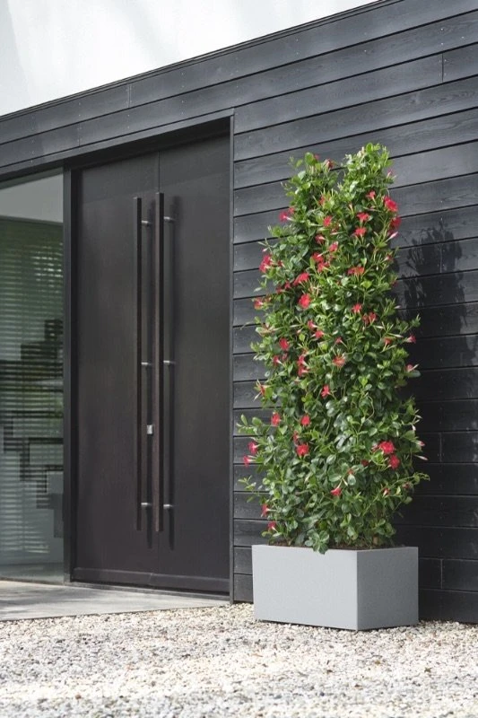 Elho Bloempot Vivo Next Lang 60cm Grijs 4 Elho Bloempot Vivo Next Lang 60cm Grijs - Afbeelding 2