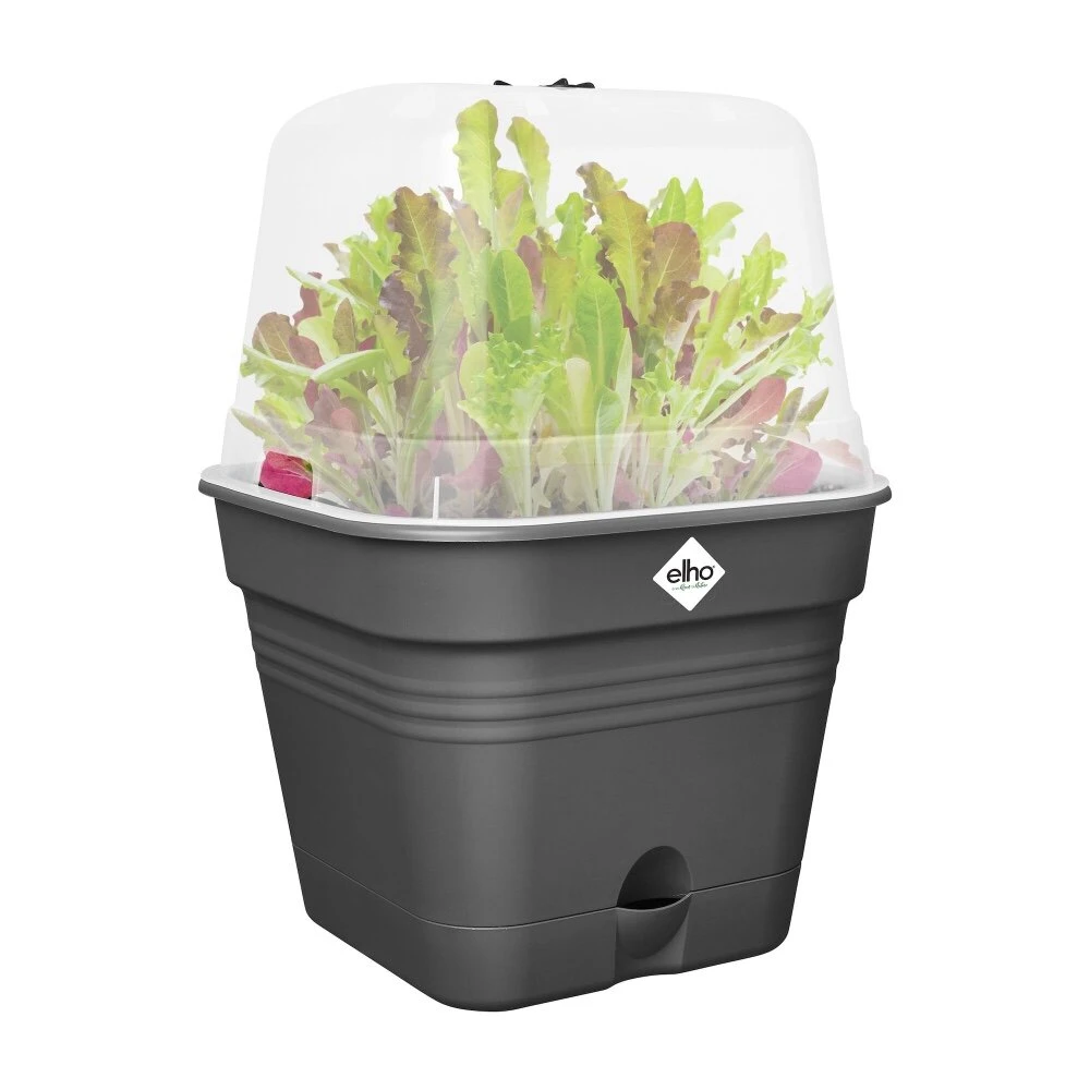 Elho Green Basics Kweekpot Vierk. Allin1 30 Cm Zwart 5 Elho Green Basics Kweekpot Vierk. Allin1 30 Cm Zwart - Afbeelding 3