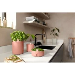 Elho Magic Microgreens Bruin 18 Elho Magic Microgreens Bruin -Buitentuin elho magic microgreens bruin 1000x1000 64aebb1cb23bd l