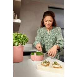 Elho Magic Microgreens Bruin 19 Elho Magic Microgreens Bruin -Buitentuin elho magic microgreens bruin 1000x1000 64aebb1d1e32e l