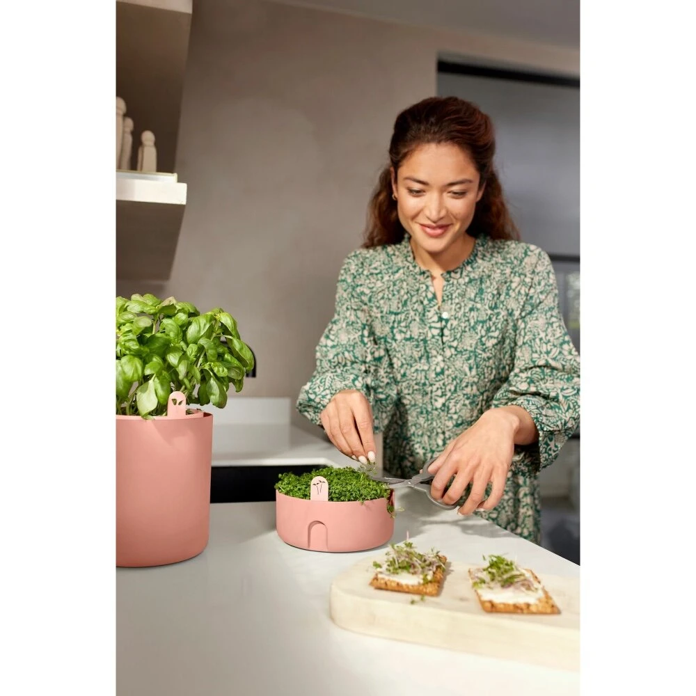 Elho Magic Microgreens Bruin 11 Elho Magic Microgreens Bruin - Afbeelding 9