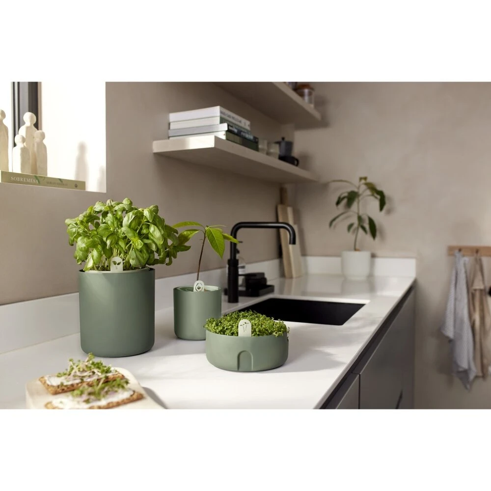 Elho Magic Microgreens Groen 8 Elho Magic Microgreens Groen - Afbeelding 6