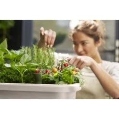 Elho Noa Kweektafel Grijs 15 Elho Noa Kweektafel Grijs -Buitentuin elho noa kweektafel grijs 1000x1000 64aebac703c5b l