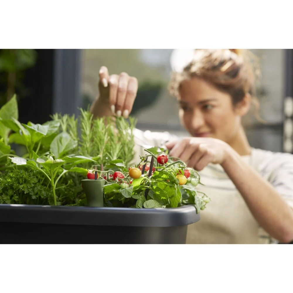 Elho Noa Kweektafel Zwart 9 Elho Noa Kweektafel Zwart - Afbeelding 7