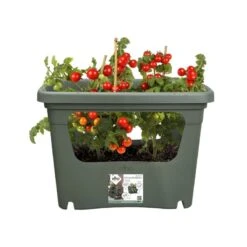 Elho Plantenbak Green Basics Stack & Grow Large Groen -Buitentuin elho plantenbak green basics stack grow large groen 800x800 620e3d4de4622 l