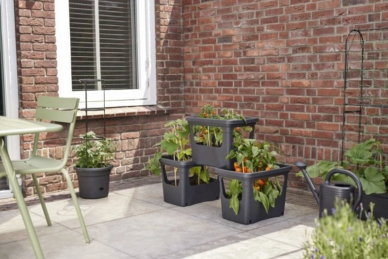 Elho Plantenbak Green Basics Stack & Grow Large Zwart 8 Elho Plantenbak Green Basics Stack & Grow Large Zwart - Afbeelding 6