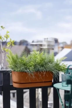 Elho Plantenbak Greenville Easy Balcony 52cm Bruin -Buitentuin elho plantenbak greenville easy balcony 52cm bruin 534x800 620e3d78b812c l