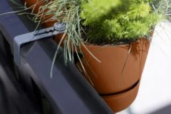 Elho Plantenbak Greenville Easy Balcony 52cm Bruin -Buitentuin elho plantenbak greenville easy balcony 52cm bruin 800x534 620e3d7a0fba4 l