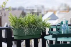 Elho Plantenbak Greenville Easy Balcony 52cm Groen -Buitentuin elho plantenbak greenville easy balcony 52cm groen 800x534 620e3d7cbcf7a l