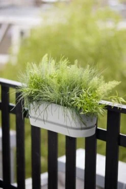 Elho Plantenbak Greenville Easy Balcony 52cm Wit -Buitentuin elho plantenbak greenville easy balcony 52cm wit 534x800 620e3d70b8d5d l