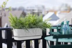 Elho Plantenbak Greenville Easy Balcony 52cm Wit -Buitentuin elho plantenbak greenville easy balcony 52cm wit 800x534 620e3d70ef9fa l