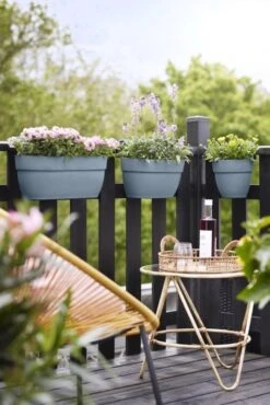 Elho Plantenbak Vibia Campana Easy Hanger Large Blauw 13 Elho Plantenbak Vibia Campana Easy Hanger Large Blauw -Buitentuin elho plantenbak vibia campana easy hanger large blauw 534x800 620e3cf21bf00 l