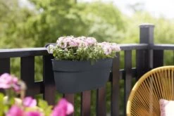 Elho Plantenbak Vibia Campana Easy Hanger Large Grijs 12 Elho Plantenbak Vibia Campana Easy Hanger Large Grijs -Buitentuin elho plantenbak vibia campana easy hanger large grijs 800x534 620e3ce68654e l