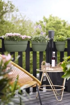 Elho Plantenbak Vibia Campana Easy Hanger Large Groen -Buitentuin elho plantenbak vibia campana easy hanger large groen 534x800 620e3cec7c872 l