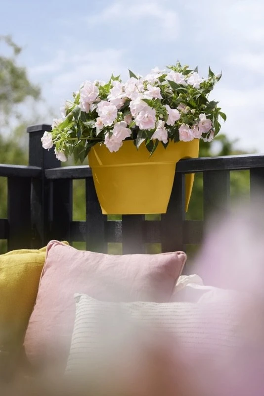 Elho Plantenbak Vibia Campana Flower Bridge 40cm Geel 7 Elho Plantenbak Vibia Campana Flower Bridge 40cm Geel - Afbeelding 5