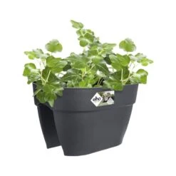 Elho Plantenbak Vibia Campana Flower Bridge 40cm Grijs 8 Elho Plantenbak Vibia Campana Flower Bridge 40cm Grijs -Buitentuin elho plantenbak vibia campana flower bridge 40cm grijs 800x800 620e3cfbabf23 l