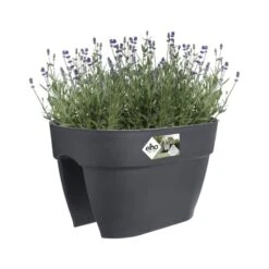 Elho Plantenbak Vibia Campana Flower Bridge 40cm Grijs 10 Elho Plantenbak Vibia Campana Flower Bridge 40cm Grijs -Buitentuin elho plantenbak vibia campana flower bridge 40cm grijs 800x800 620e3cfc41131 l