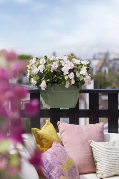 Elho Plantenbak Vibia Campana Flower Bridge 40cm Groen -Buitentuin elho plantenbak vibia campana flower bridge 40cm groen 534x800 620e3d1fe9139 l