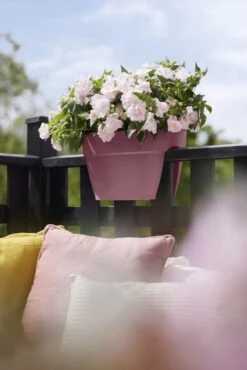 Elho Plantenbak Vibia Campana Flower Bridge 40cm Roze -Buitentuin elho plantenbak vibia campana flower bridge 40cm roze 534x800 620e3d1c11a24 l
