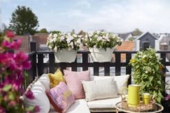 Elho Plantenbak Vibia Campana Flower Bridge 40cm Wit -Buitentuin elho plantenbak vibia campana flower bridge 40cm wit 800x534 620e3d22bb538 l