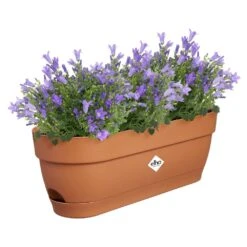 Elho Vibia Campana Balkonbak 50 Cm Bruin