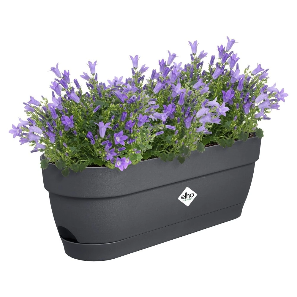 Elho Vibia Campana Balkonbak 50 Cm Zwart 4 Elho Vibia Campana Balkonbak 50 Cm Zwart - Afbeelding 2