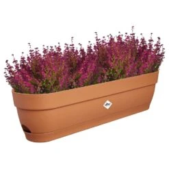 Elho Vibia Campana Balkonbak 70 Cm Bruin 9 Elho Vibia Campana Balkonbak 70 Cm Bruin -Buitentuin elho vibia campana balkonbak 70 cm bruin 1000x1000 64aebb31d1ae2 l