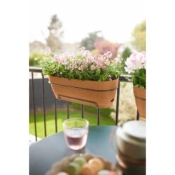 Elho Vibia Campana Balkonbak 70 Cm Bruin 12 Elho Vibia Campana Balkonbak 70 Cm Bruin -Buitentuin elho vibia campana balkonbak 70 cm bruin 1000x1000 64aebb330520e l