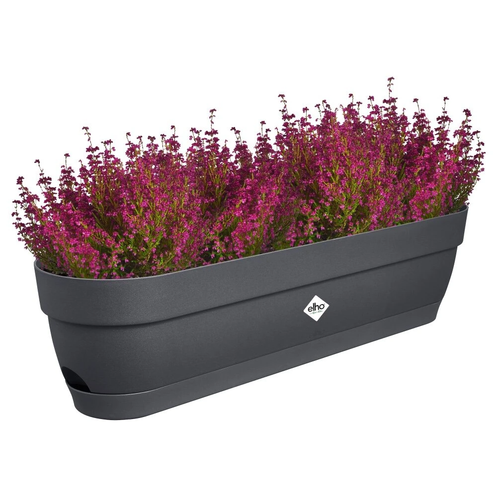 Elho Vibia Campana Balkonbak 70 Cm Zwart 3 Elho Vibia Campana Balkonbak 70 Cm Zwart