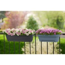 Elho Vibia Campana Balkonbak 70 Cm Zwart 13 Elho Vibia Campana Balkonbak 70 Cm Zwart -Buitentuin elho vibia campana balkonbak 70 cm zwart 1000x1000 64aebb3ab036f l