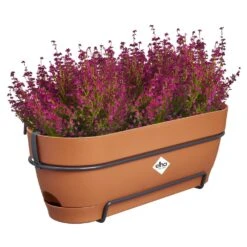 Elho Vibia Campana Balkonbak Allin1 50 Cm Bruin -Buitentuin elho vibia campana balkonbak allin1 50 cm bruin 1000x1000 64aebb051bf3c l