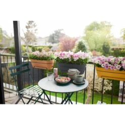 Elho Vibia Campana Balkonbak Allin1 50 Cm Bruin -Buitentuin elho vibia campana balkonbak allin1 50 cm bruin 1000x1000 64aebb05a0c21 l