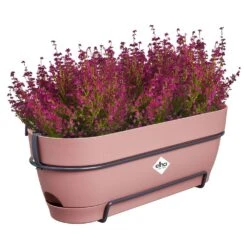 Elho Vibia Campana Balkonbak Allin1 50 Cm Roze 11 Elho Vibia Campana Balkonbak Allin1 50 Cm Roze -Buitentuin elho vibia campana balkonbak allin1 50 cm roze 1000x1000 64aebb023d96d l
